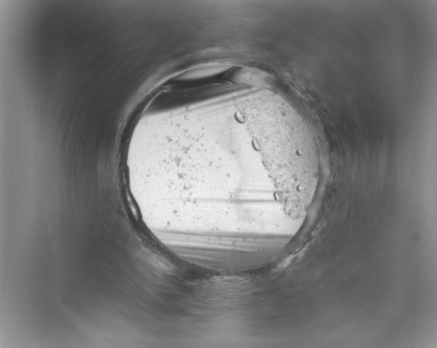 X0000072550150200608111848