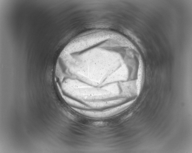 X0000072550153200608111848