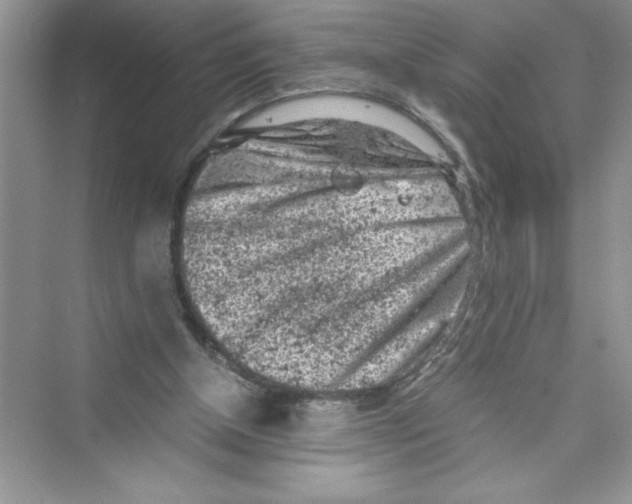 X0000072550154200608111848