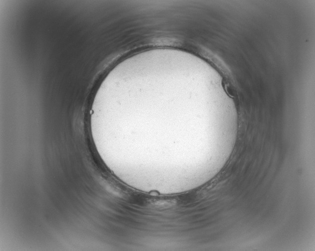 X0000072550155200608111848