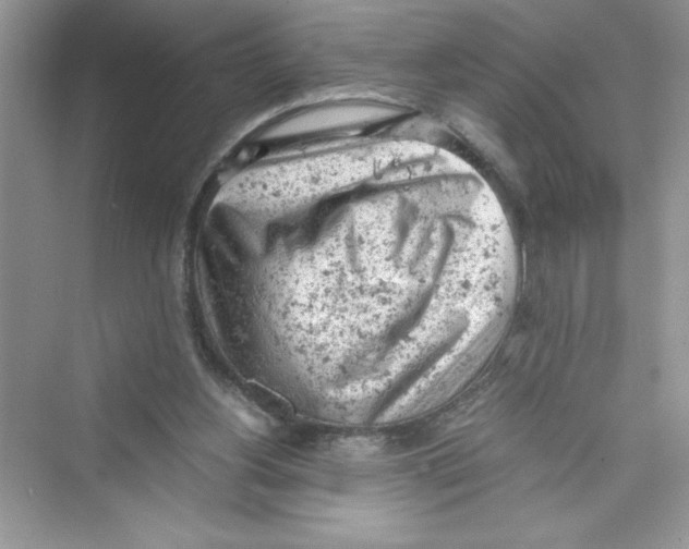 X0000072550156200608111848