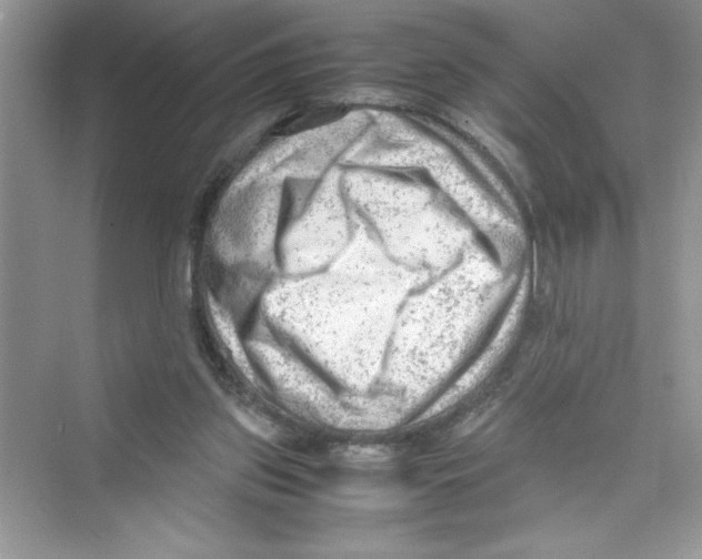 X0000072550157200608111848