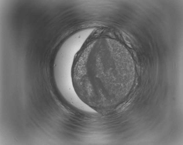 X0000072550158200608111848