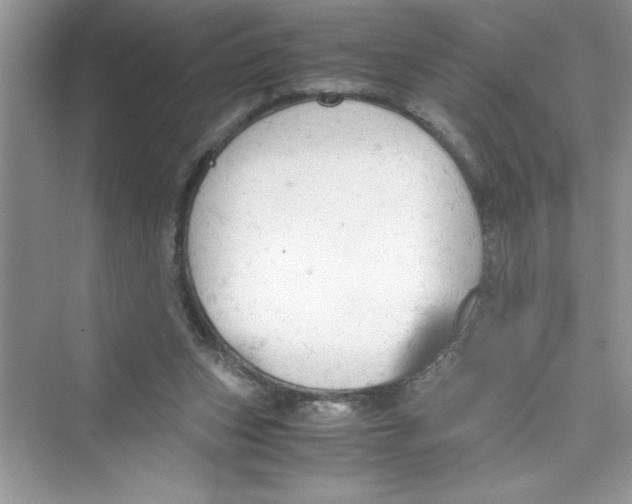 X0000072550159200608111848