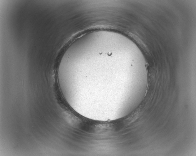 X0000072550160200608111848