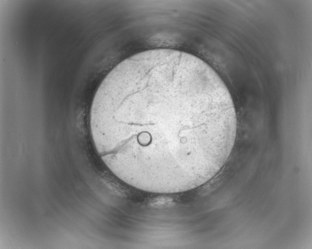 X0000072550162200608111848