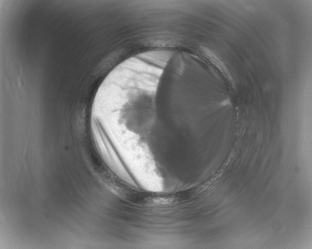 X0000072550163200608111848