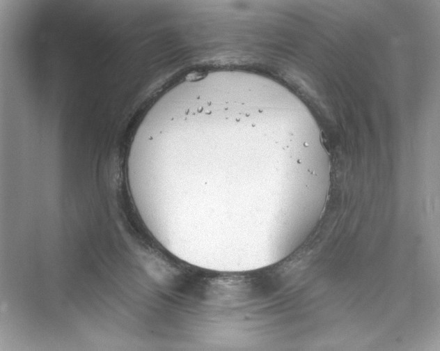 X0000072550164200608111848