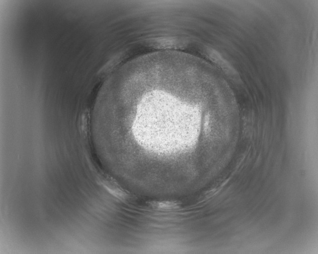 X0000072550165200608111848