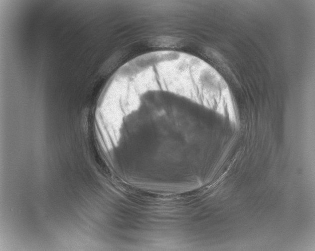 X0000072550167200608111848