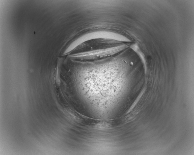 X0000072550168200608111848