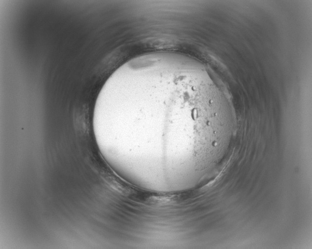 X0000072550170200608111848