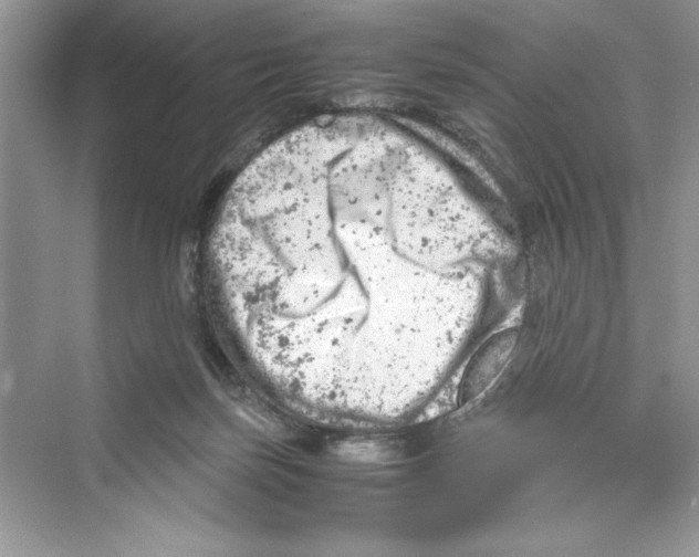 X0000072550171200608111848