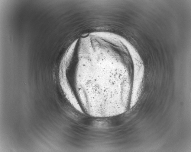 X0000072550175200608111848