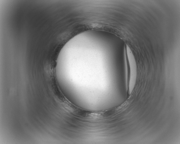 X0000072550176200608111848