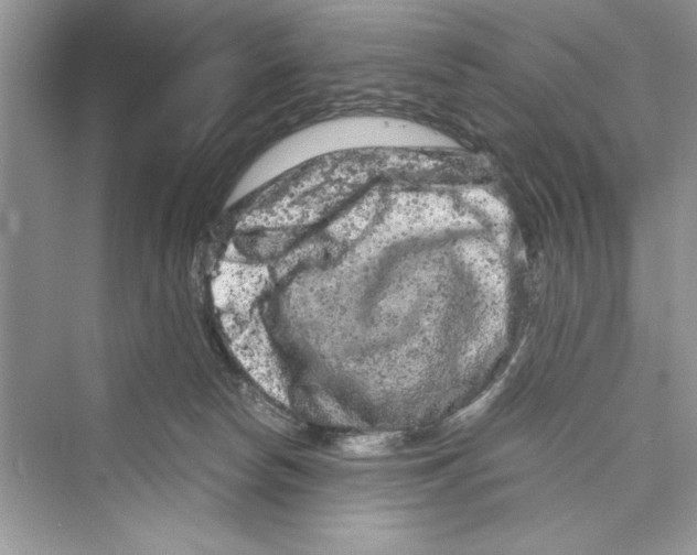 X0000072550178200608111848