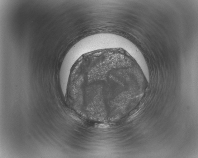 X0000072550180200608111848