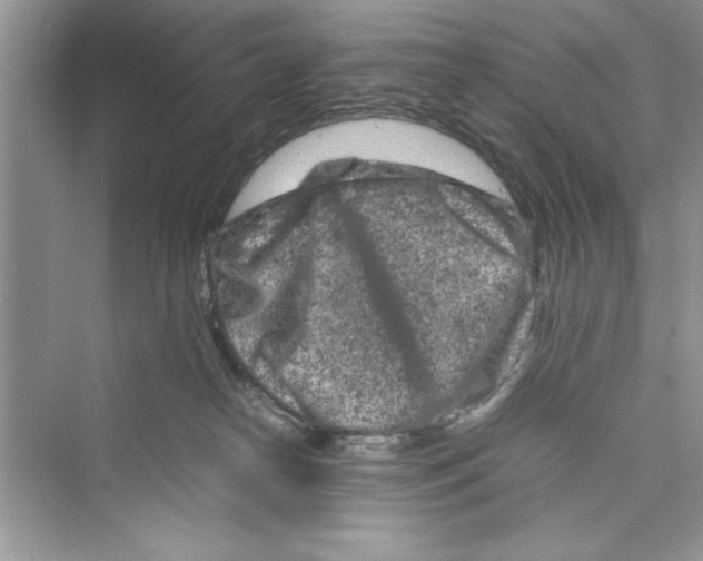 X0000072550182200608111848