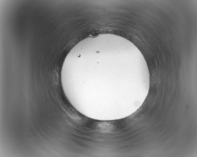 X0000072550183200608111848