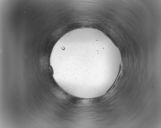 X0000072550184200608111848