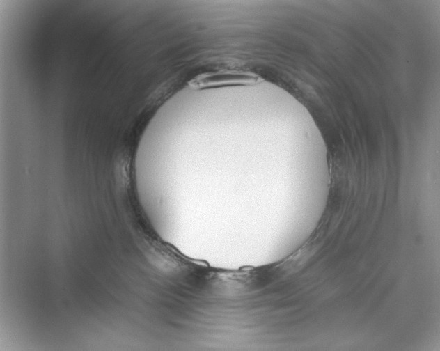 X0000072550188200608111848