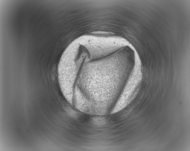 X0000072550189200608111848