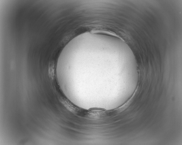 X0000072550190200608111848