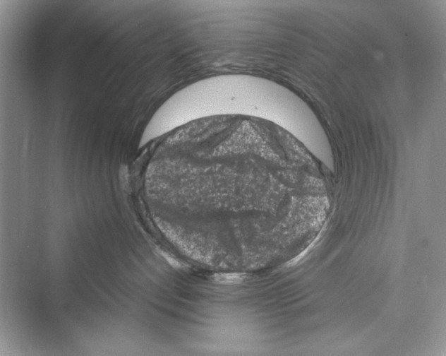 X0000072550192200608111848