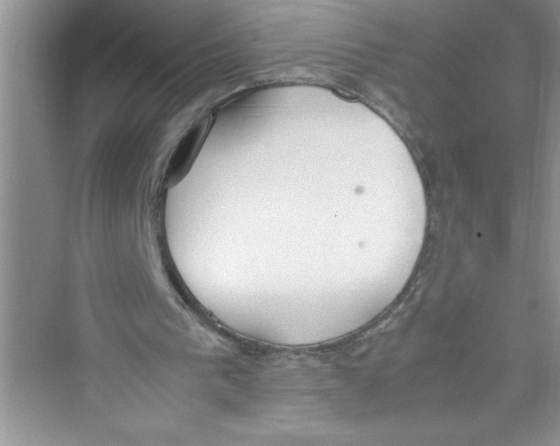 X0000072550193200608111848