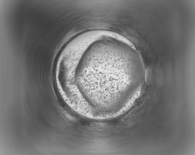 X0000072550195200608111848