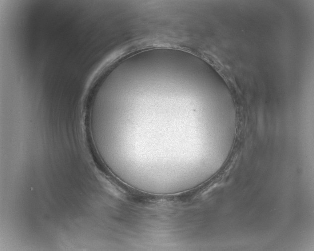 X0000072550197200608111848