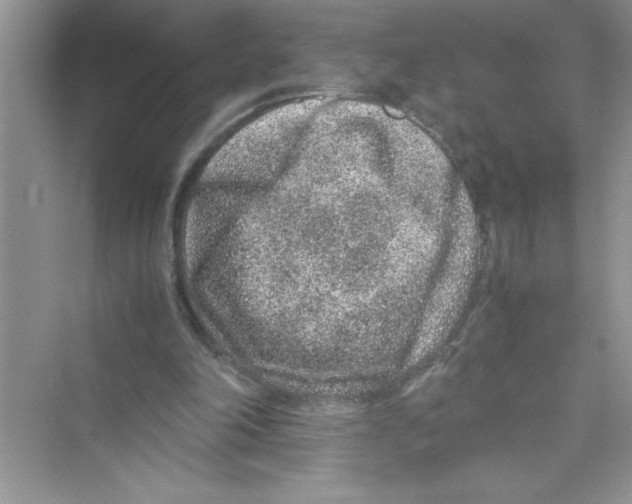 X0000072550198200608111847