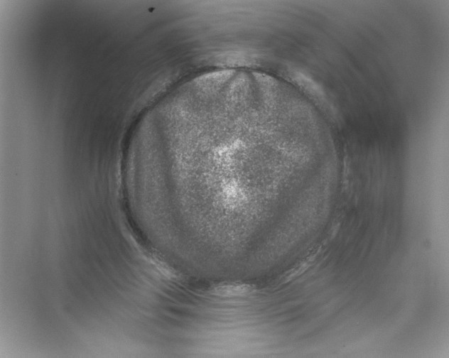 X0000072550202200608111847