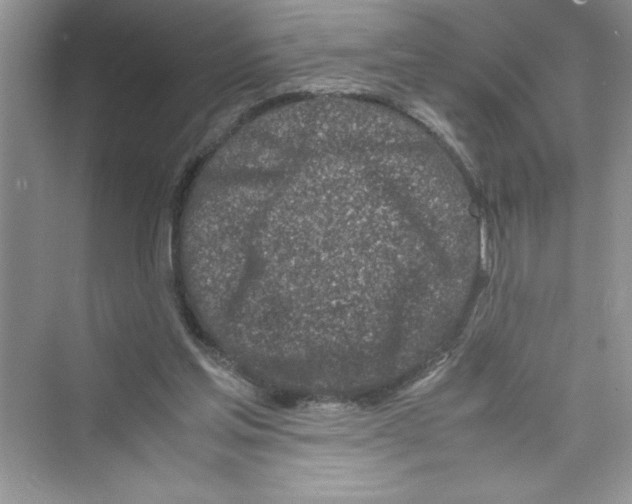 X0000072550205200608111847