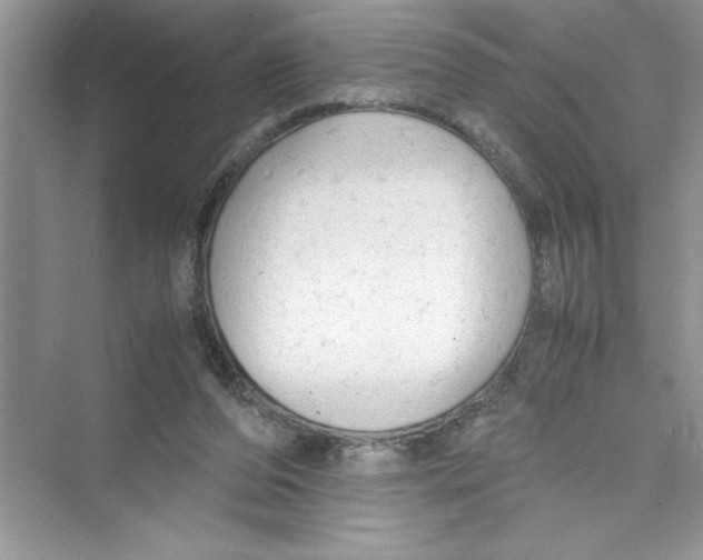 X0000072550208200608111847