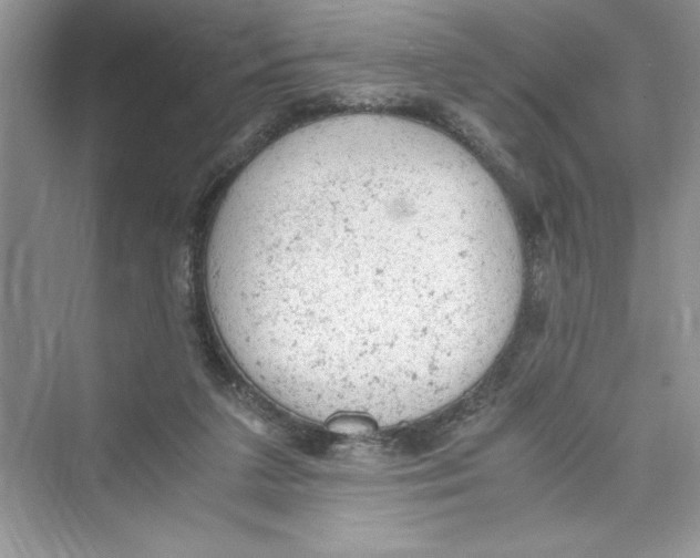 X0000072550211200608111847