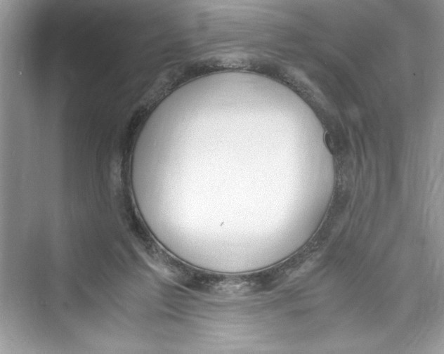 X0000072550213200608111847