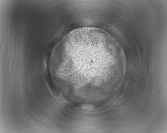 X0000072550214200608111847