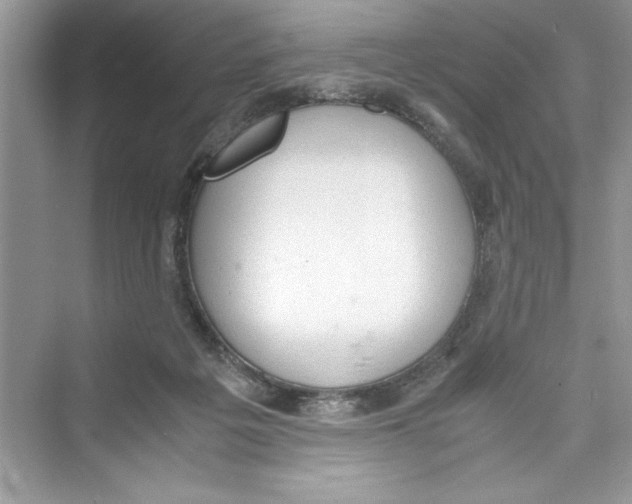 X0000072550217200608111847