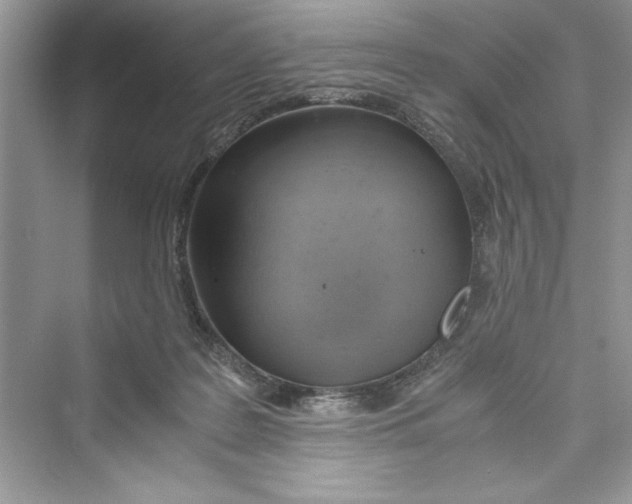 X0000072550219200608111847