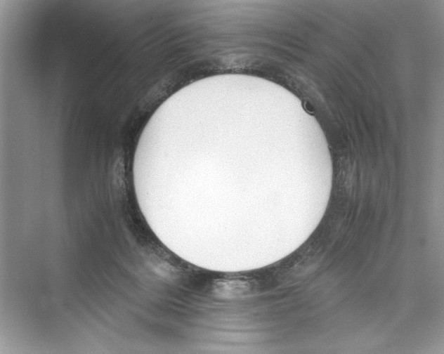 X0000072550220200608111847