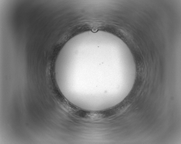 X0000072550221200608111847