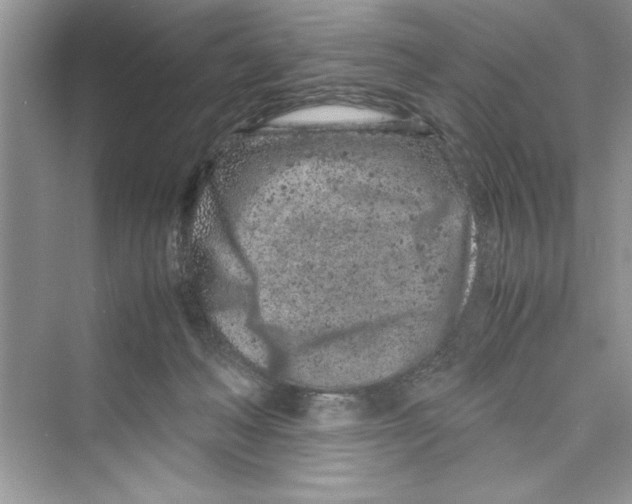 X0000072550222200608111847