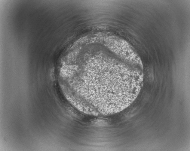 X0000072550224200608111847