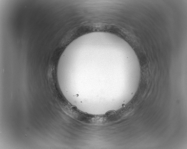 X0000072550225200608111847