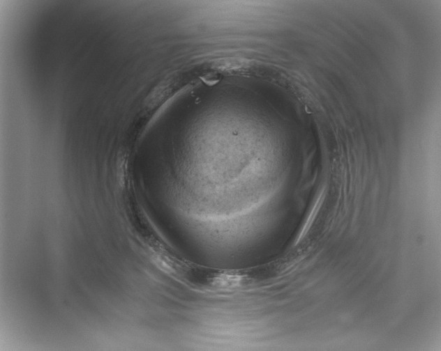 X0000072550227200608111847