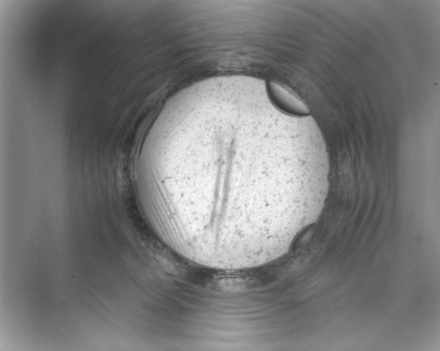 X0000072550228200608111847