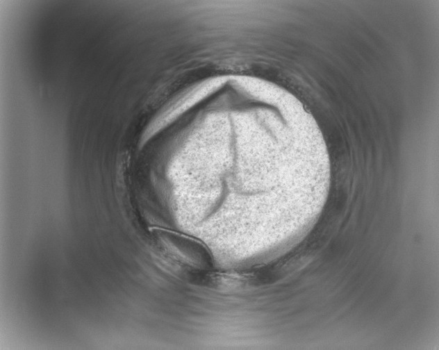 X0000072550229200608111847