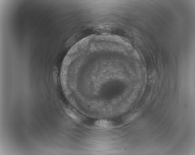 X0000072550231200608111847