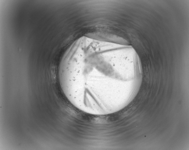 X0000072550232200608111847